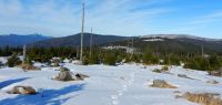 66 anfang februar findet sich noch genug schnee fuer einsame schneeschuhtouren - 180 grad-blick zum arber falkenstein und jaehrlingsschachten